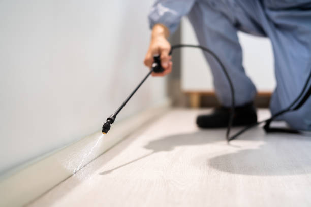 Licensed Fumigation Services service in Golden Valley County County, MT - Nex Pest Control
